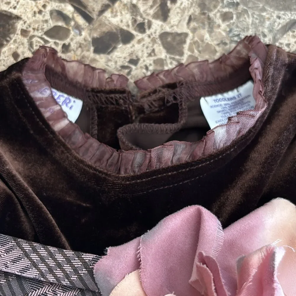 Blueberri Boulevard Toddler Girls Brown PInk Formal Velvet Tulle Dress Size 2T